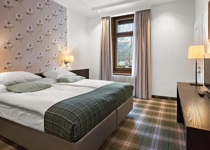 ホテル モロサニ シュバイツァーホフ