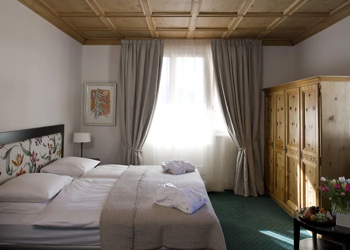 ホテル モロサニ シュバイツァーホフ