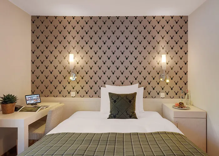 モロサニ シュバイツァーホフ 4*