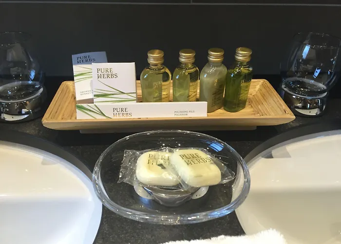 モロサニ シュバイツァーホフ 4* ダヴォス・プラッツ