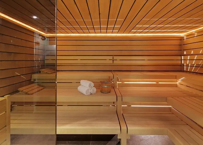 ホテル モロサニ シュバイツァーホフ 4*